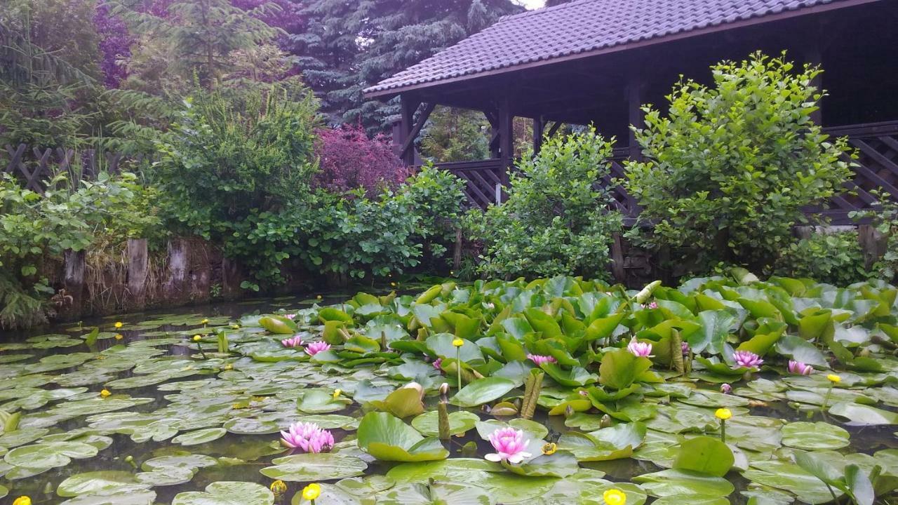 Dankowska Dolina Villa Eksteriør bilde
